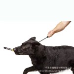 现货新款宠物训练P链防爆冲牵引绳中大型狗狗德牧训犬窒息绳P绳