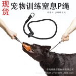 现货新款宠物训练P链防爆冲牵引绳中大型狗狗德牧训犬窒息绳P绳