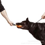 现货新款宠物训练P链防爆冲牵引绳中大型狗狗德牧训犬窒息绳P绳