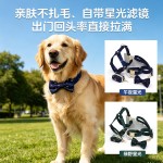 源头厂家天鹅绒星布宠物狗狗项圈牵引套装 跨境 激光刻字