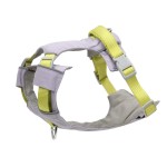 反光狗狗胸背带工字型防爆冲大狗背心式背带狗狗牵引绳