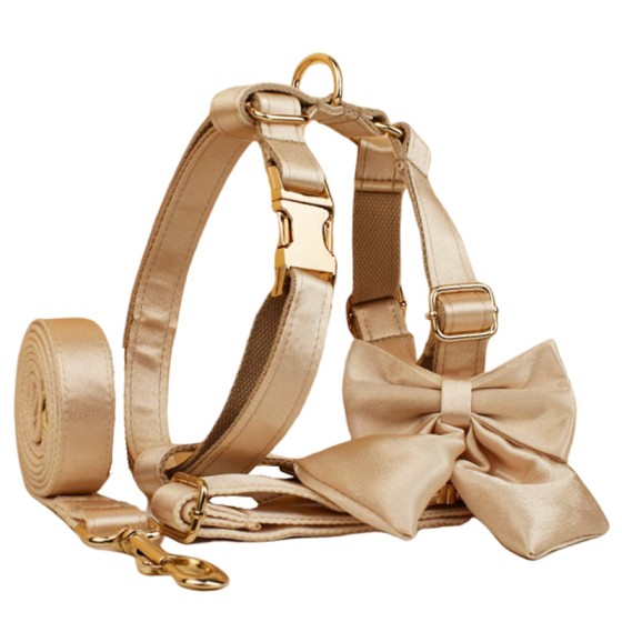 裸底水晶狗狗项圈狗圈牵引绳户外遛狗绳狗脖圈脖套厂家批发一件代
