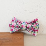 MUTTCO 厂家现货浅画棒花猫项圈 时尚宠物猫圈 外贸批发 UCC-150B