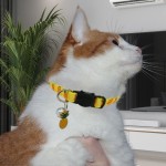 亚马逊热卖款猫咪项圈铃铛水果吊饰猫项圈防窒息扣具宠物项圈