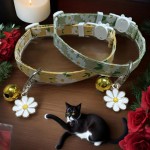 跨境亚马逊猫咪项圈小猫小狗铃铛安全扣项链可爱清新雏菊宠物项圈