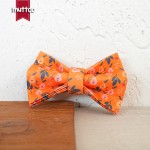 MUTTCO 厂家现货 新款樱桃梨 时尚宠物猫项圈 浅金铝合金UCC-182M