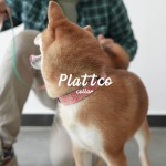 PLATTCO 新款红豹纹印花仿尼龙宠物项圈 方便遛狗项圈 PDC332