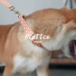 PLATTCO 爆款新品狗项圈宠物项圈涤纶耐磨印花项圈 PDC364