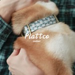 PATTCO仿尼龙丝印宠物狗脖圈跨境宠物制用品可刻字塑料扣 PDC345