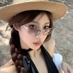 2026新款复古老钱风金属猫眼墨镜女网红高级感Y2K辣妹太阳眼镜潮