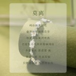 莫离手串女生款轻奢小众2025精致高级感生日情人节送女友