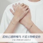 蓝桉已遇释槐鸟情侣手链情侣款一对简约小众设计情人节礼物送女友