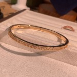 精工轻奢满天星双排钻防静电运动手环白金/香槟金卡扣手镯