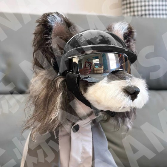 宠物头盔眼镜套装机车风朋克安全帽中小型犬狗狗炫酷头饰配饰批发