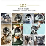 宠物头盔眼镜套装机车风朋克安全帽中小型犬狗狗炫酷头饰配饰批发