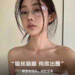 银丝全框猫眼眼镜女椭圆框老钱风超轻眼镜架丹阳眼镜