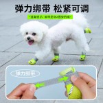 狗鞋子透气夏天不闷脚软牛筋底中小型宠物甩不掉运动鞋超柔软网料