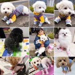 26新网红帆布宠物草莓鞋防滑透气比熊泰迪小型犬狗狗鞋套鞋子新款