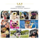 可折叠宠物眼镜 创意狗狗猫咪眼镜滑雪镜宠物配饰太阳镜厂家批发