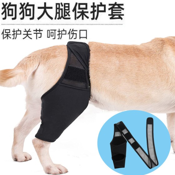 宠物狗狗腿部骨折护具宠物前后腿支带辅助带狗狗护膝保护支撑带