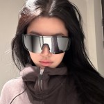 2026新款大框户外骑行眼镜抖音小红书网红墨镜男女款登山滑雪墨镜