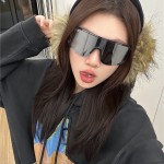 2026新款大框户外骑行眼镜抖音小红书网红墨镜男女款登山滑雪墨镜