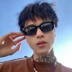 2026新款时尚街拍潮流太阳镜男女同款脸大显瘦遮阳墨镜防蓝光眼镜