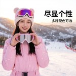现货户外运动护目镜骑行摩托风镜防尘防风男女款眼镜滑雪镜护目镜 (含认证）