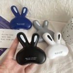 隐形眼镜盒可爱兔兔ins美瞳盒便携护理盒双联盒带镜子伴侣盒as828