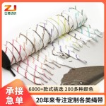 现货10mm金银丝编织运动裤腰绳沙滩裤绳风衣卫衣帽绳休闲裤鞋带 (1PCS)