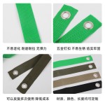 跨境多色防风树木固定带索环飓风鸡眼扣防倒带树拉直系带现货