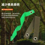 跨境多色防风树木固定带索环飓风鸡眼扣防倒带树拉直系带现货