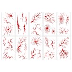 万圣节仿真恐怖伤疤纹身贴疤痕纹身刺青派对道具扮演纹身贴纸伤疤