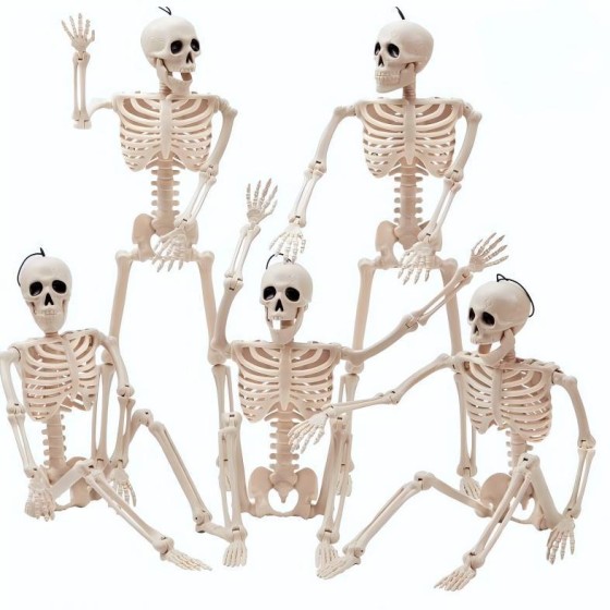 万圣节骷髅骨架装饰 - Halloween塑胶仿真骷髅头40cm惊悚恐怖道具
