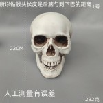 仿真骷髅头 万圣节道具 恐怖鬼头酒吧鬼屋密室气氛布置摆件