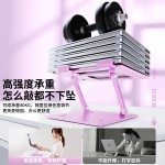 雷克森悬空散热笔记本支架 可升降调节碳素钢托架桌面稳固底座