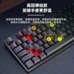狼蛛S3005有线键盘鼠标套装台式机笔记本电脑外接办公打字无
