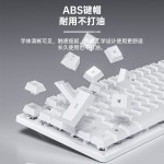 狼蛛S3005有线键盘鼠标套装台式机笔记本电脑外接办公打字无