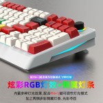新款现货有线机械键盘K98 RGB灯光青轴98键全键无冲电竞游戏外设