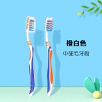 外贸批发牙刷中硬毛高密单支独立包盒装带盖成人家用牙刷商超定制