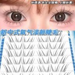 新中式上睫毛清冷纯欲系安陵容自然仿真灵动假睫毛空气感斜飞免胶