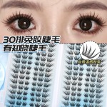 丝丝小姐新品春知晓假睫毛手工柔软初学者减龄新手单簇分段式免卸