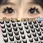 黑金萝莉假睫毛仿真分段懒人三部曲新手韩系浓密单簇眼睫毛