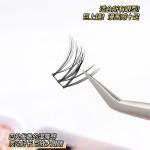 32排白玉兰睫毛书单簇自然不规则假睫毛仿真漫画分段眼睫毛新手