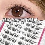 韩系小珊瑚漫画假睫毛自然仿真灵动单簇爆款清透淡颜分段式眼睫毛
