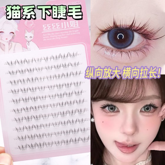 免胶猫系漫画睫毛自然假睫毛单簇浓密分段嫁接透明大小姐下睫毛
