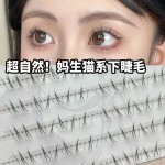 免胶猫系漫画睫毛自然假睫毛单簇浓密分段嫁接透明大小姐下睫毛