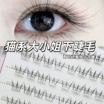 免胶猫系漫画睫毛自然假睫毛单簇浓密分段嫁接透明大小姐下睫毛