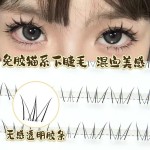 免胶猫系漫画睫毛自然假睫毛单簇浓密分段嫁接透明大小姐下睫毛