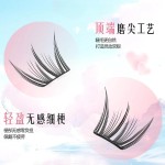 蓝眼泪2.0大容量睫毛书自然小薄片单簇分段式假睫毛免胶猫咪不朽
